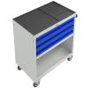 Инструментальная тележка WDS-3